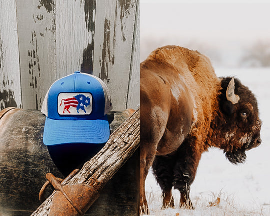 NECK ROOTS BE A BUFFALO BLUE HAT